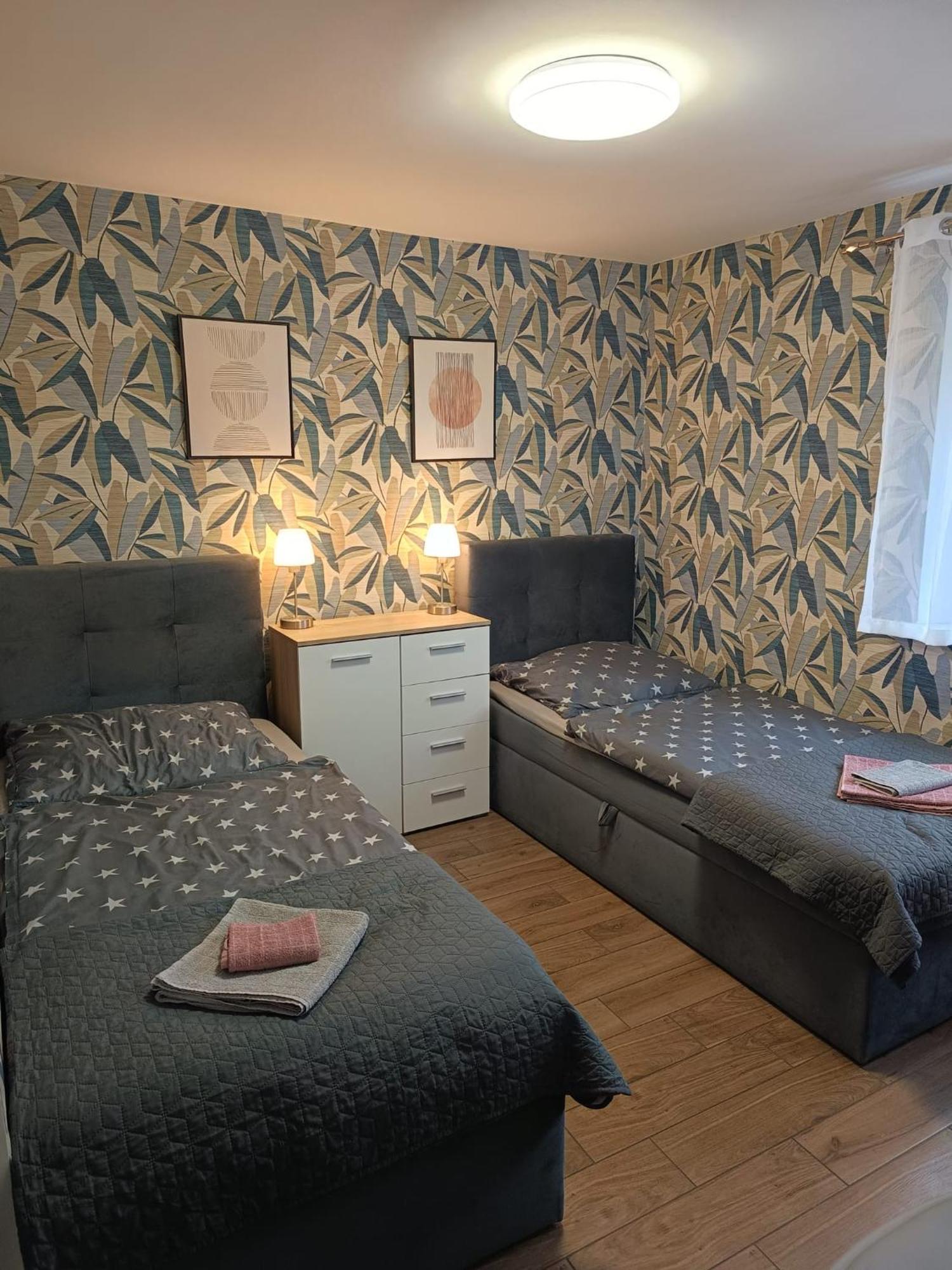 Apartament Japko 格利维采 外观 照片