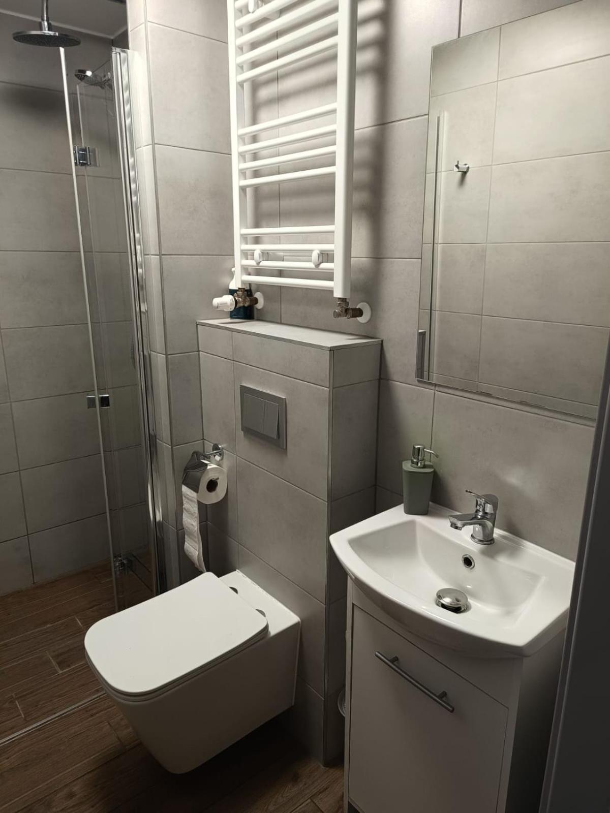 Apartament Japko 格利维采 外观 照片